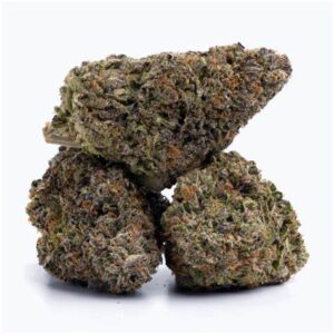 Gushers THCa Flower | Hybrid