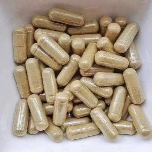 Micro dosing Mushroom