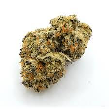 Alternative view of Gold Cash THCa Flower